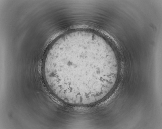 X0000111040921200908061453