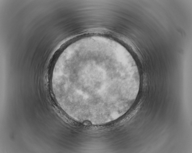 X0000111040923200908061453