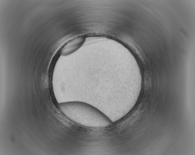 X0000111040924200908061453