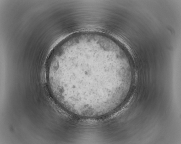 X0000111040925200908061454