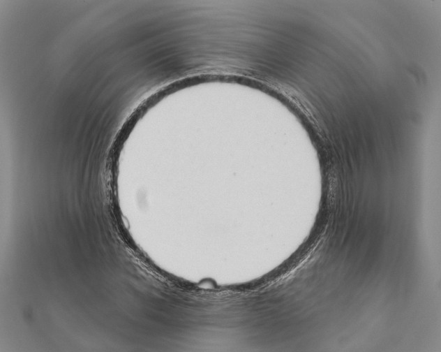 X0000111040926200908061454