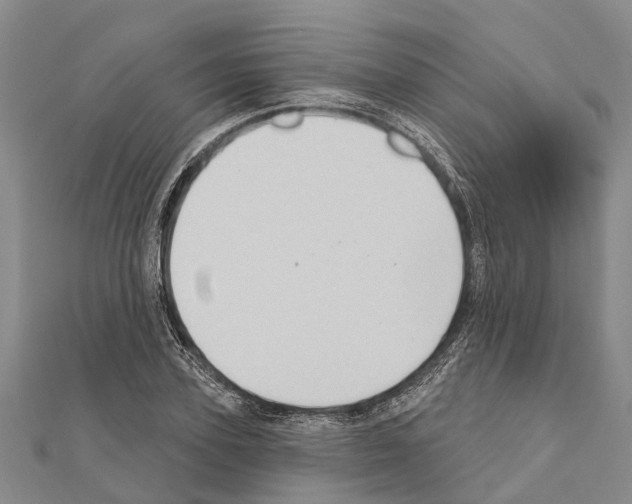 X0000111040931200908061454