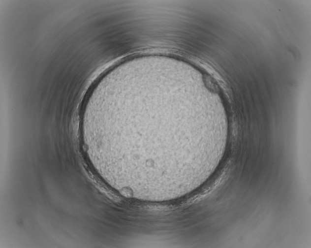 X0000111040933200908061454