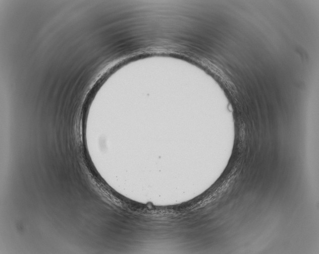 X0000111040934200908061454