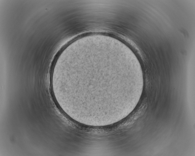 X0000111040935200908061454