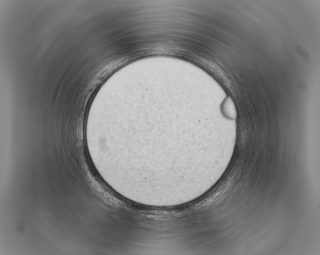 X0000111040938200908061454