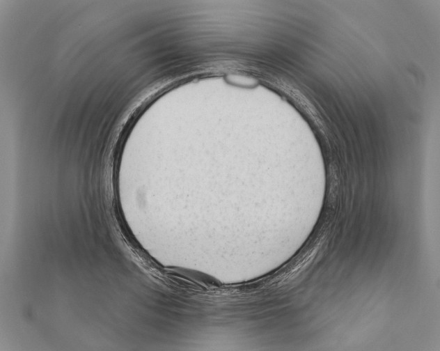 X0000111040939200908061454