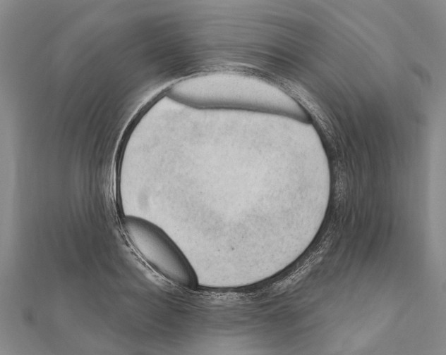 X0000111040940200908061454