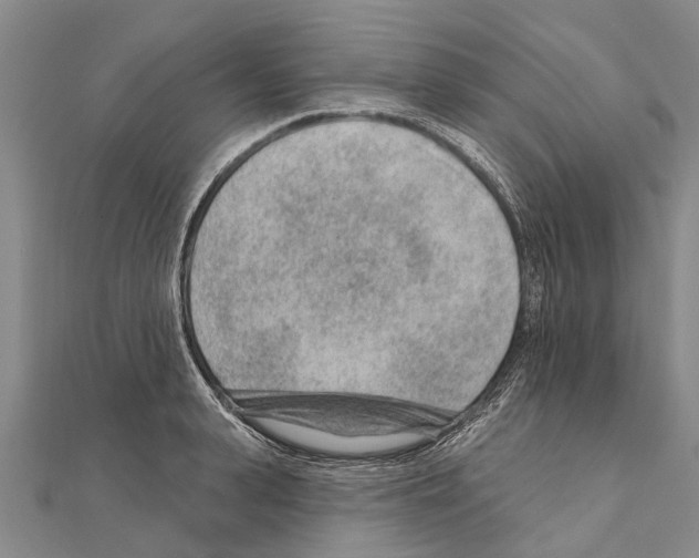 X0000111040943200908061454