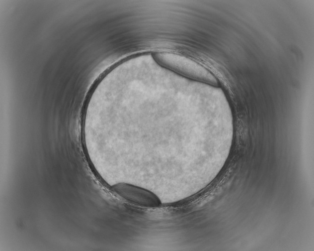 X0000111040944200908061454