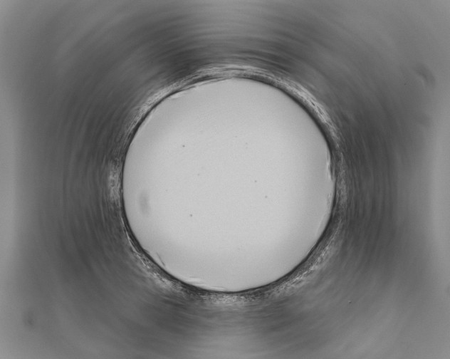 X0000111040945200908061454