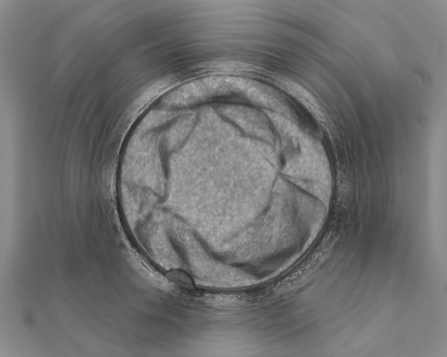 X0000111040946200908061454