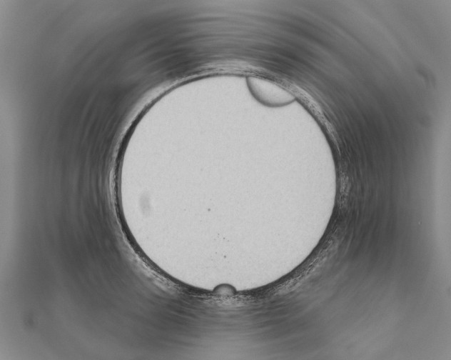 X0000111040947200908061454