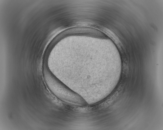 X0000111040948200908061454