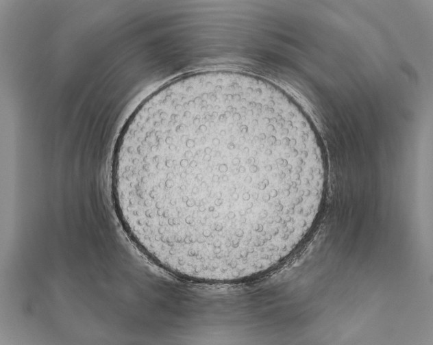 X0000111040949200908061454