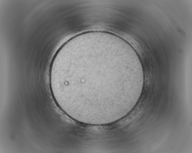 X0000111040950200908061454