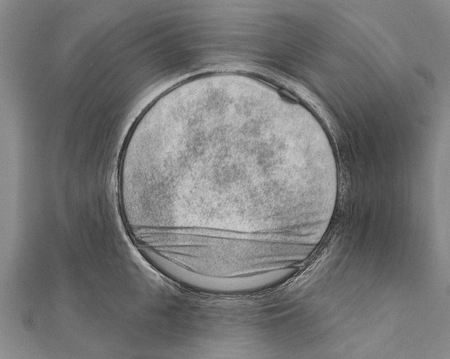 X0000111040951200908061454