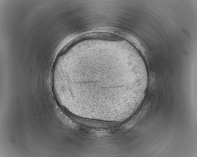 X0000111040952200908061454