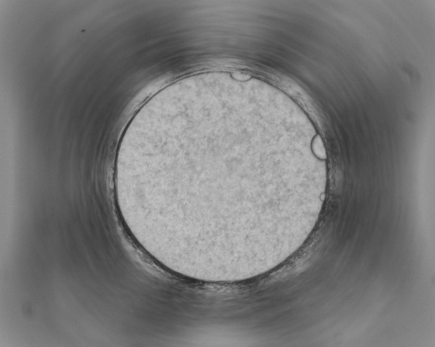 X0000111040954200908061454