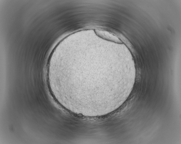 X0000111040955200908061454