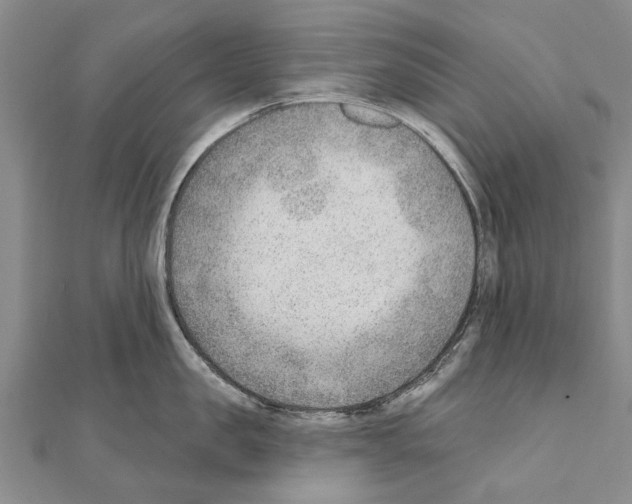 X0000111040957200908061454