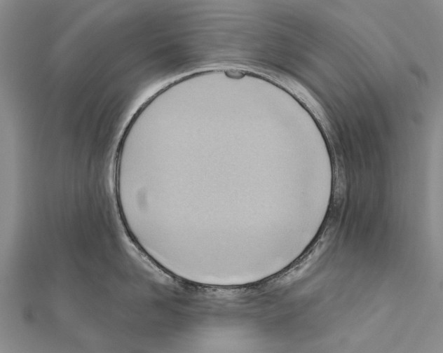 X0000111040958200908061454