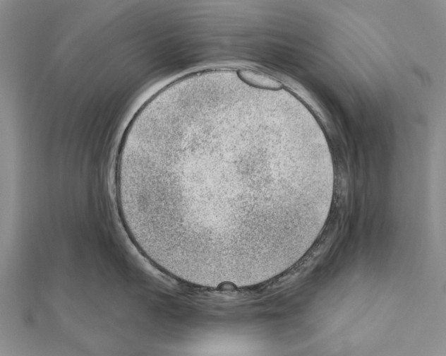 X0000111040959200908061454