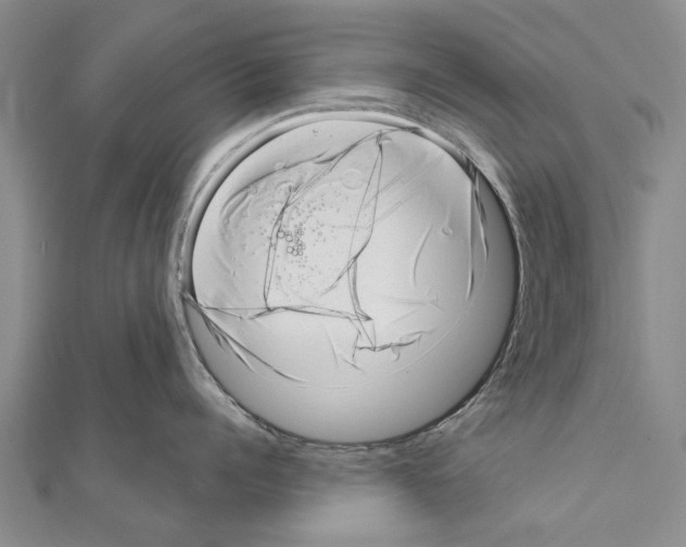 X0000111040960200908061454