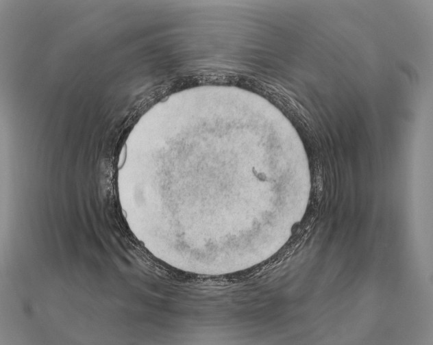 X0000111040964200908061453