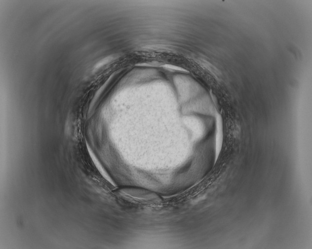 X0000111040965200908061453