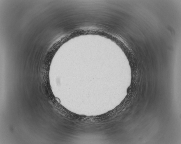 X0000111040967200908061453