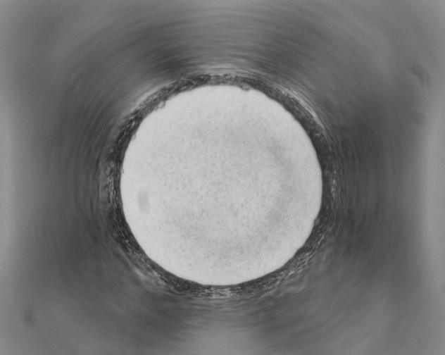 X0000111040968200908061453