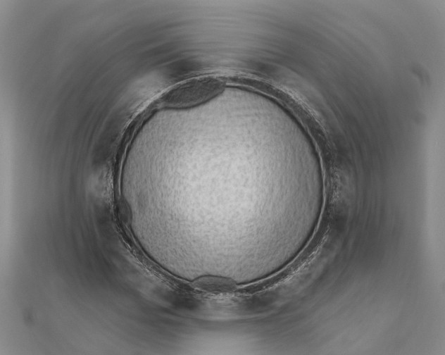 X0000111040969200908061453