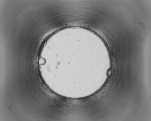 X0000111040971200908061453