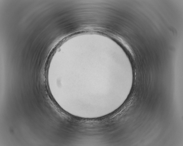 X0000111040972200908061453