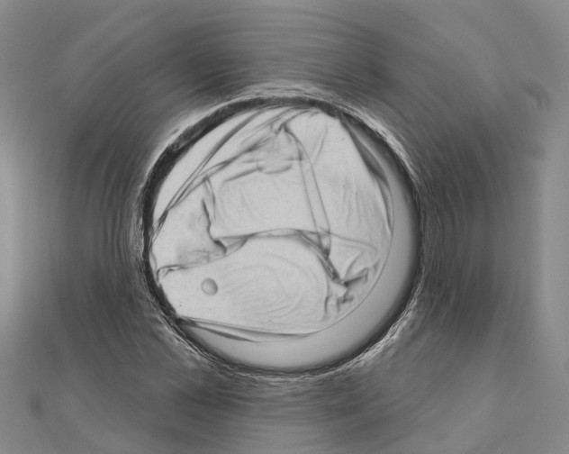 X0000111040973200908061453