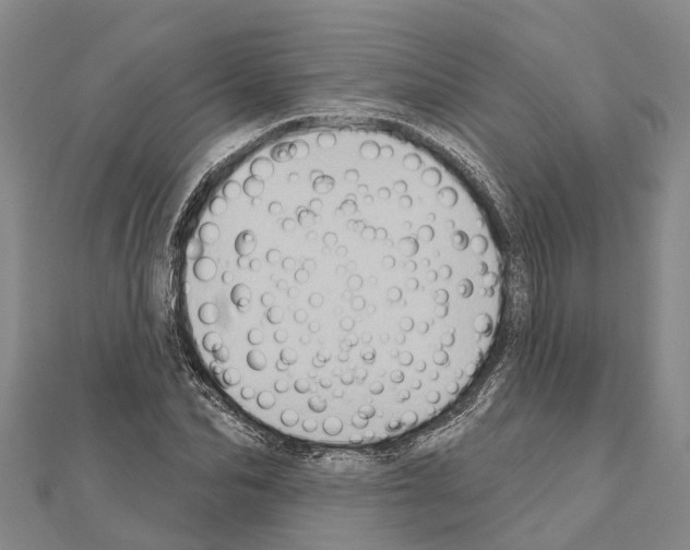 X0000111040974200908061453