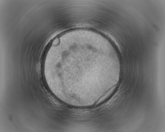 X0000111040975200908061453