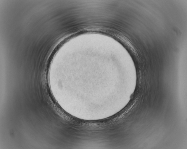 X0000111040976200908061453