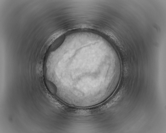 X0000111040977200908061453