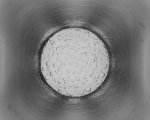 X0000111040978200908061453