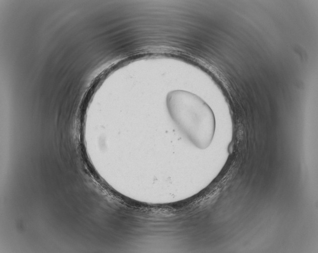 X0000111040979200908061453