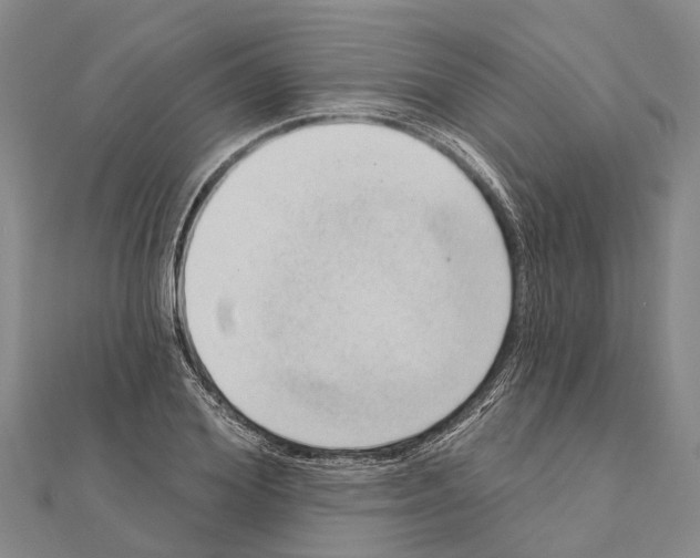 X0000111040980200908061453