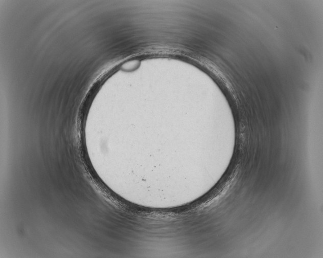 X0000111040981200908061453