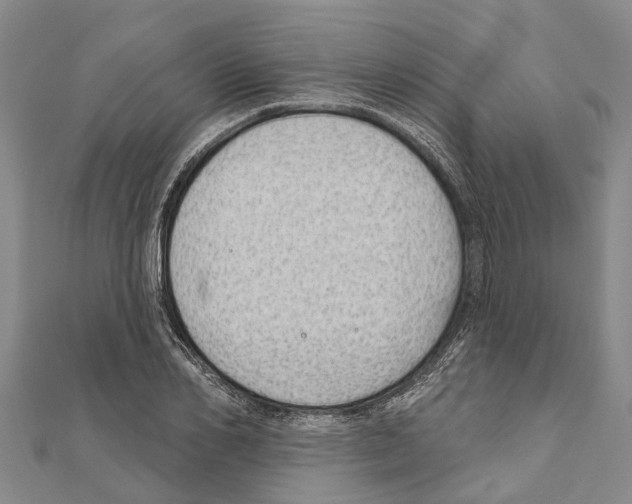 X0000111040982200908061453