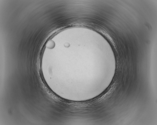 X0000111040984200908061453