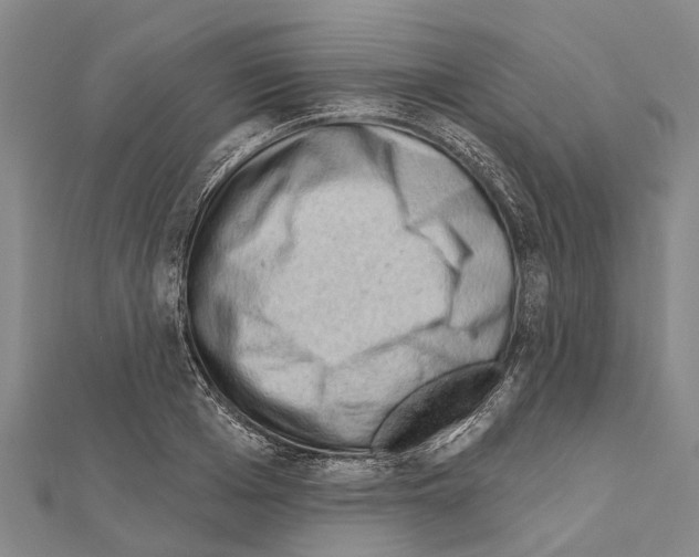 X0000111040985200908061453