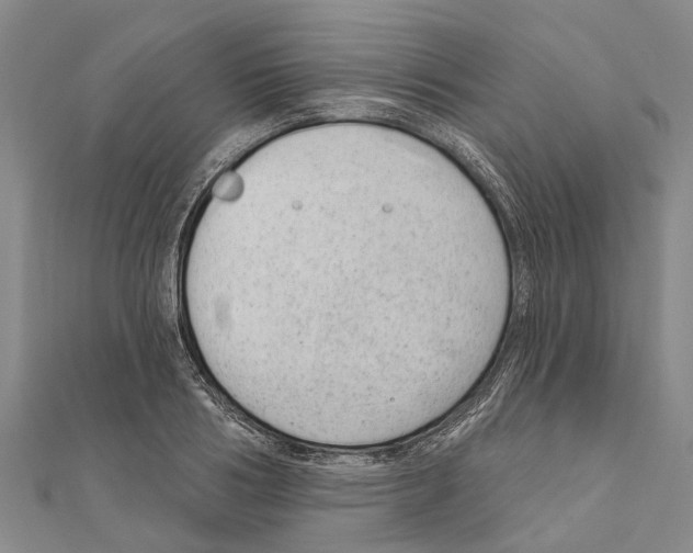 X0000111040986200908061453