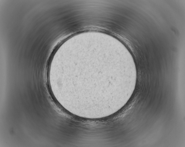 X0000111040987200908061453