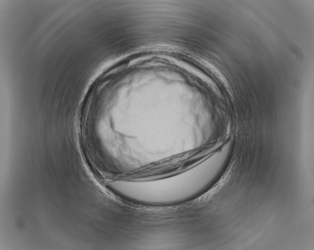 X0000111040989200908061453